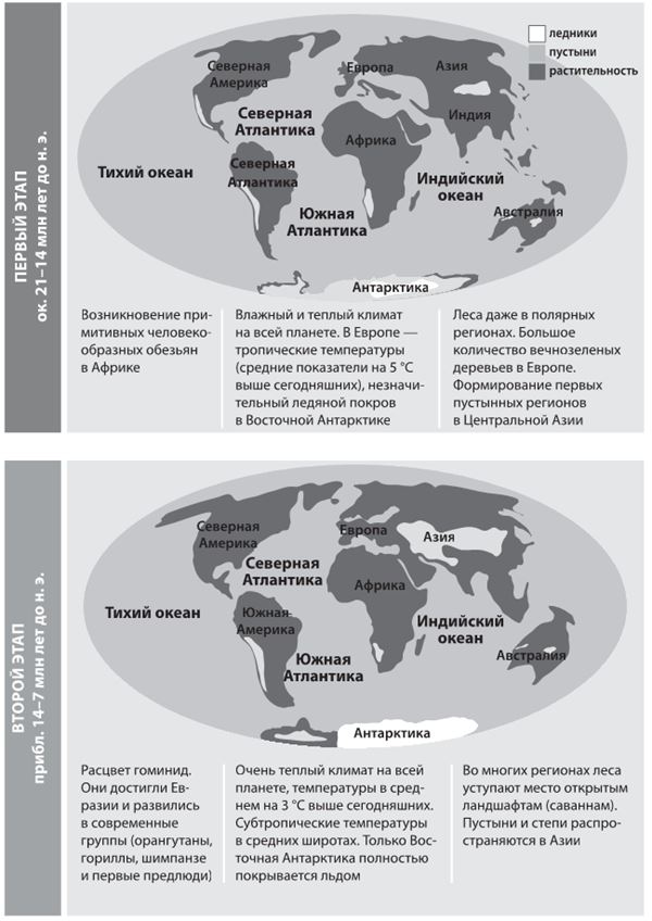 Иллюстрация к книге — Как мы стали людьми. Поиски истоков человечества [i_018.jpg]