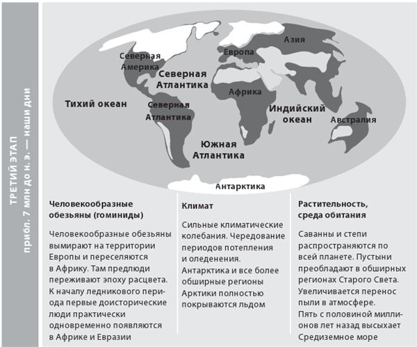 Иллюстрация к книге — Как мы стали людьми. Поиски истоков человечества [i_019.jpg]