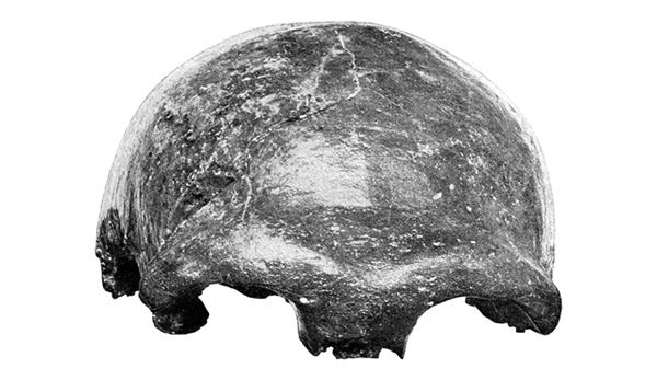 Иллюстрация к книге — Как мы стали людьми. Поиски истоков человечества [i_035.jpg]