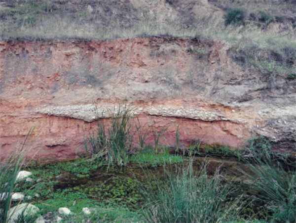 Иллюстрация к книге — Как мы стали людьми. Поиски истоков человечества [i_048.jpg]
