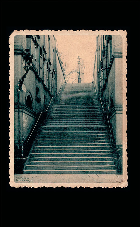 Иллюстрация к книге — Шарлотта Бронте делает выбор. Викторианская любовь [i_001.jpg]