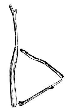 Иллюстрация к книге — В чём секрет, Чарли? [i_005.jpg]