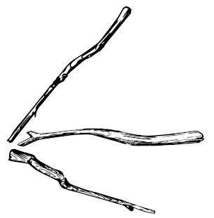 Иллюстрация к книге — В чём секрет, Чарли? [i_006.jpg]