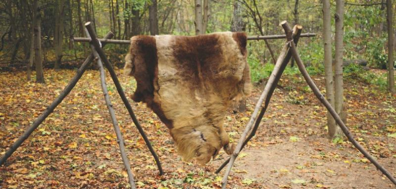 Иллюстрация к книге — Коллекционирование монет для начинающих. Пошаговый гид по нумизматике: от понимания исторической ценности до создания уникальной коллекции [img_6.jpg]