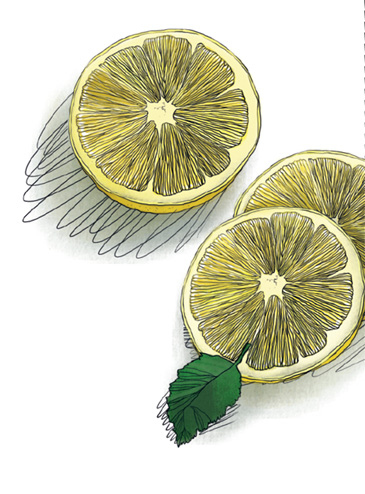 Иллюстрация к книге — Женщины, которые меня… научили готовить [i_034.jpg]