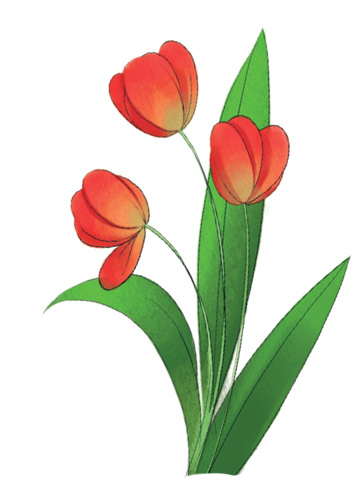 Иллюстрация к книге — Женщины, которые меня… научили готовить [i_047.jpg]