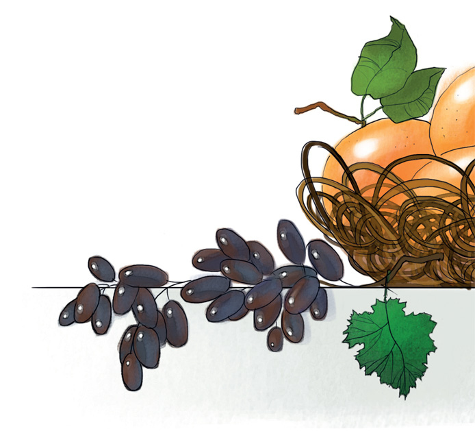 Иллюстрация к книге — Женщины, которые меня… научили готовить [i_056.jpg]