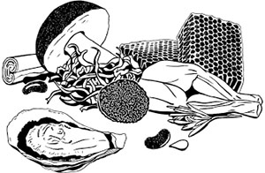 Иллюстрация к книге — Ковид и постковид. Как справиться с последствиями коронавируса. Микроэлементы и витамины для защиты и восстановления здоровья [i_139.jpg]