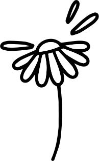 Иллюстрация к книге — Он не бросит жену. Как перестать тратить время на недоступных, женатых, не готовых к обязательствам мужчин и обрести счастливые отношения [i_001.jpg]