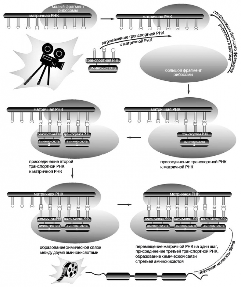 Иллюстрация к книге — Лаборатория химических историй. От электрона до молекулярных машин [i_067.jpg]