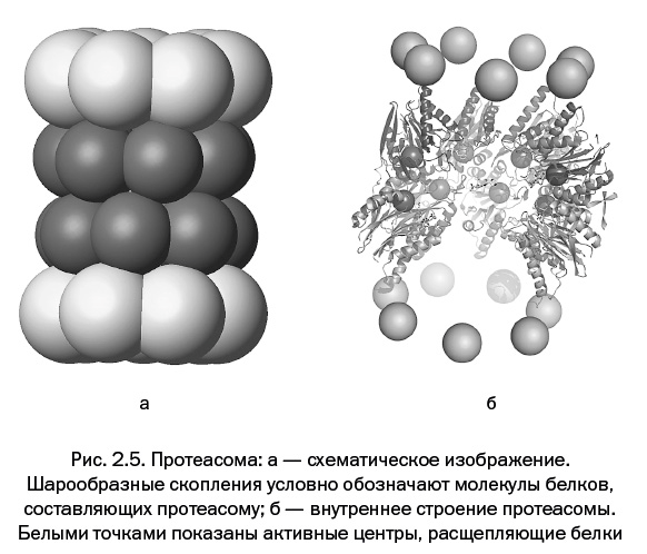 Иллюстрация к книге — Лаборатория химических историй. От электрона до молекулярных машин [i_068.jpg]