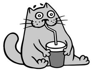 Иллюстрация к книге — Правильный жир. Для чего он нужен организму и почему надо перестать его ненавидеть [i_010.jpg]