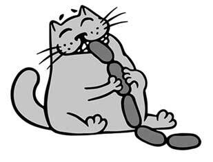 Иллюстрация к книге — Правильный жир. Для чего он нужен организму и почему надо перестать его ненавидеть [i_016.jpg]