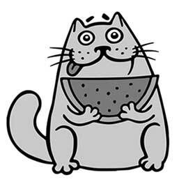 Иллюстрация к книге — Правильный жир. Для чего он нужен организму и почему надо перестать его ненавидеть [i_018.jpg]