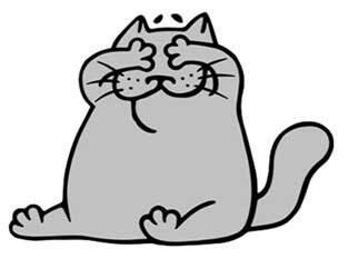 Иллюстрация к книге — Правильный жир. Для чего он нужен организму и почему надо перестать его ненавидеть [i_022.jpg]