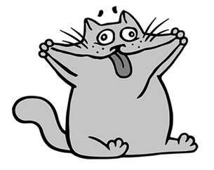 Иллюстрация к книге — Правильный жир. Для чего он нужен организму и почему надо перестать его ненавидеть [i_023.jpg]