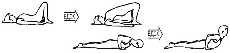 Иллюстрация к книге — Сердце йоги. Принципы построения индивидуальной практики. «Йога-сутры» Патанджали. «Йоганджалисара» Шри Кришнамачарья [i_046.jpg]