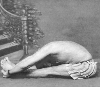 Иллюстрация к книге — Сердце йоги. Принципы построения индивидуальной практики. «Йога-сутры» Патанджали. «Йоганджалисара» Шри Кришнамачарья [i_050.jpg]