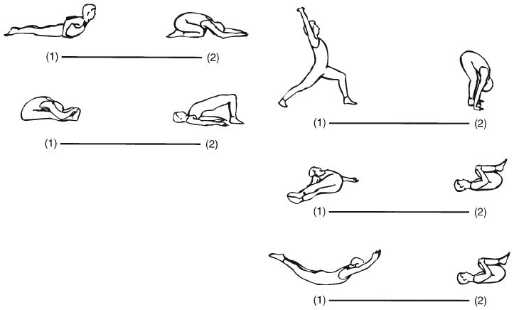 Иллюстрация к книге — Сердце йоги. Принципы построения индивидуальной практики. «Йога-сутры» Патанджали. «Йоганджалисара» Шри Кришнамачарья [i_057.jpg]