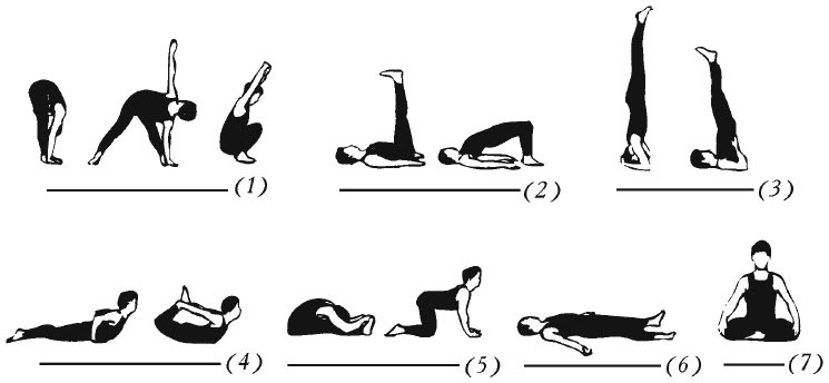 Иллюстрация к книге — Сердце йоги. Принципы построения индивидуальной практики. «Йога-сутры» Патанджали. «Йоганджалисара» Шри Кришнамачарья [i_061.jpg]