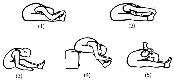 Иллюстрация к книге — Сердце йоги. Принципы построения индивидуальной практики. «Йога-сутры» Патанджали. «Йоганджалисара» Шри Кришнамачарья [i_071.jpg]