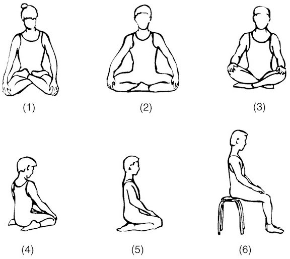 Иллюстрация к книге — Сердце йоги. Принципы построения индивидуальной практики. «Йога-сутры» Патанджали. «Йоганджалисара» Шри Кришнамачарья [i_081.jpg]