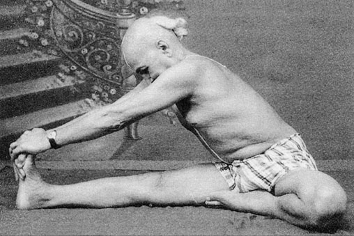 Иллюстрация к книге — Сердце йоги. Принципы построения индивидуальной практики. «Йога-сутры» Патанджали. «Йоганджалисара» Шри Кришнамачарья [i_083.jpg]