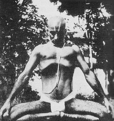 Иллюстрация к книге — Сердце йоги. Принципы построения индивидуальной практики. «Йога-сутры» Патанджали. «Йоганджалисара» Шри Кришнамачарья [i_085.jpg]