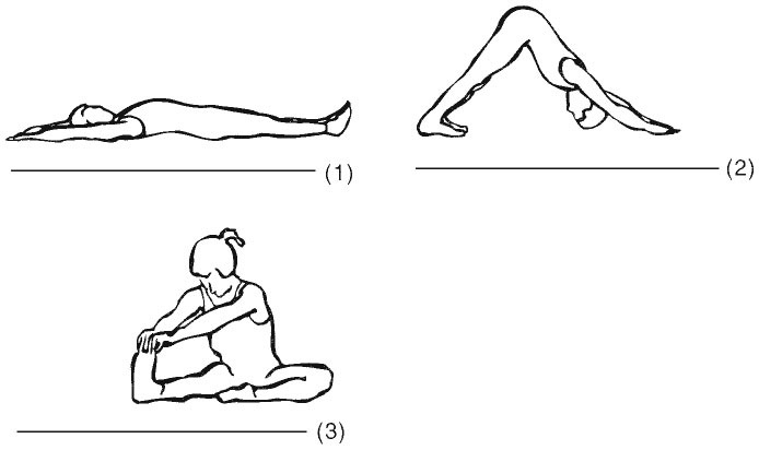 Иллюстрация к книге — Сердце йоги. Принципы построения индивидуальной практики. «Йога-сутры» Патанджали. «Йоганджалисара» Шри Кришнамачарья [i_087.jpg]
