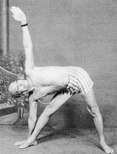 Иллюстрация к книге — Сердце йоги. Принципы построения индивидуальной практики. «Йога-сутры» Патанджали. «Йоганджалисара» Шри Кришнамачарья [i_096.jpg]