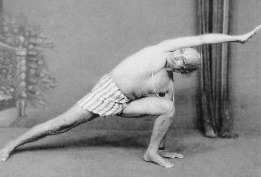 Иллюстрация к книге — Сердце йоги. Принципы построения индивидуальной практики. «Йога-сутры» Патанджали. «Йоганджалисара» Шри Кришнамачарья [i_103.jpg]