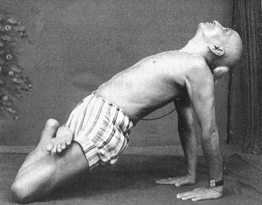 Иллюстрация к книге — Сердце йоги. Принципы построения индивидуальной практики. «Йога-сутры» Патанджали. «Йоганджалисара» Шри Кришнамачарья [i_108.jpg]