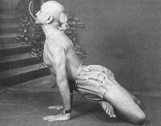 Иллюстрация к книге — Сердце йоги. Принципы построения индивидуальной практики. «Йога-сутры» Патанджали. «Йоганджалисара» Шри Кришнамачарья [i_109.jpg]