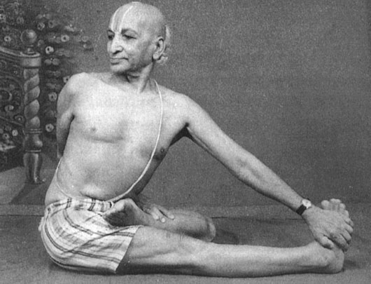 Иллюстрация к книге — Сердце йоги. Принципы построения индивидуальной практики. «Йога-сутры» Патанджали. «Йоганджалисара» Шри Кришнамачарья [i_110.jpg]