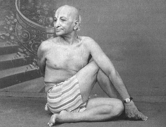 Иллюстрация к книге — Сердце йоги. Принципы построения индивидуальной практики. «Йога-сутры» Патанджали. «Йоганджалисара» Шри Кришнамачарья [i_111.jpg]