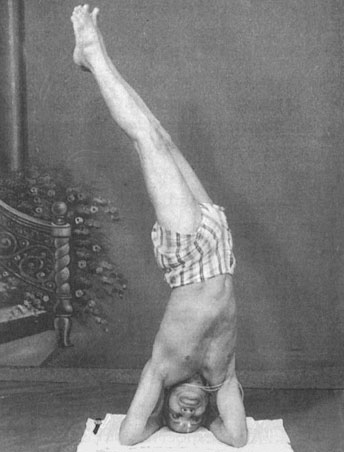 Иллюстрация к книге — Сердце йоги. Принципы построения индивидуальной практики. «Йога-сутры» Патанджали. «Йоганджалисара» Шри Кришнамачарья [i_113.jpg]