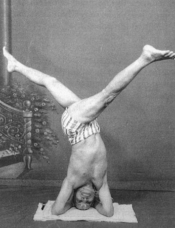 Иллюстрация к книге — Сердце йоги. Принципы построения индивидуальной практики. «Йога-сутры» Патанджали. «Йоганджалисара» Шри Кришнамачарья [i_114.jpg]