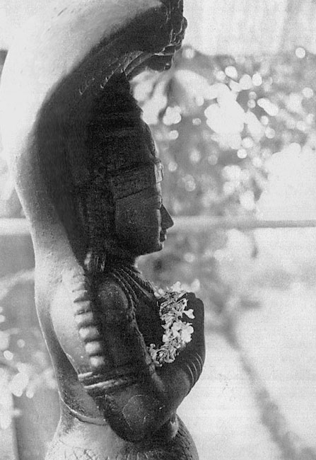 Иллюстрация к книге — Сердце йоги. Принципы построения индивидуальной практики. «Йога-сутры» Патанджали. «Йоганджалисара» Шри Кришнамачарья [i_116.jpg]