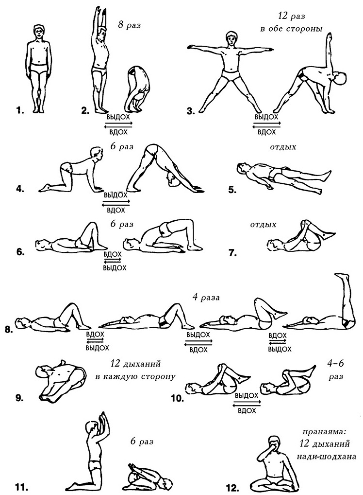 Иллюстрация к книге — Сердце йоги. Принципы построения индивидуальной практики. «Йога-сутры» Патанджали. «Йоганджалисара» Шри Кришнамачарья [i_555.jpg]