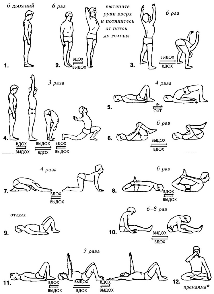 Иллюстрация к книге — Сердце йоги. Принципы построения индивидуальной практики. «Йога-сутры» Патанджали. «Йоганджалисара» Шри Кришнамачарья [i_556.jpg]