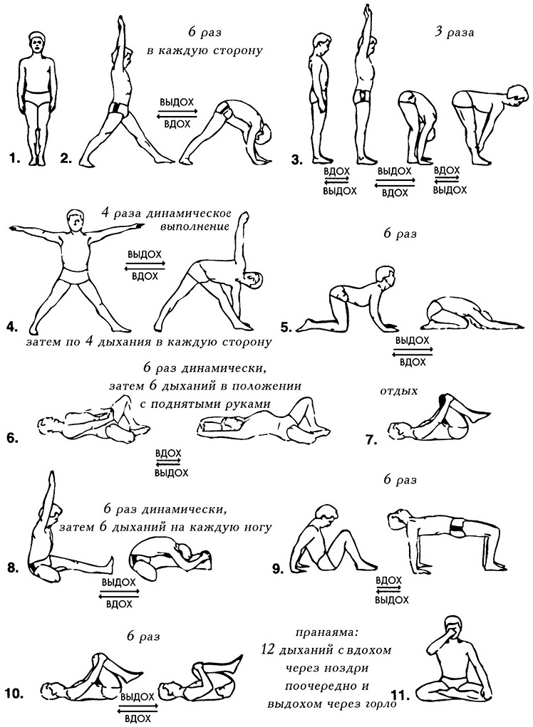 Иллюстрация к книге — Сердце йоги. Принципы построения индивидуальной практики. «Йога-сутры» Патанджали. «Йоганджалисара» Шри Кришнамачарья [i_557.jpg]