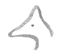 Иллюстрация к книге — Город Мрак [i_027.jpg]