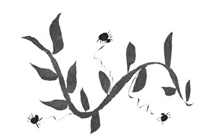 Иллюстрация к книге — Город Мрак [i_028.jpg]