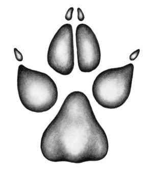 Иллюстрация к книге — Караг и волчье испытание [i_021.jpg]