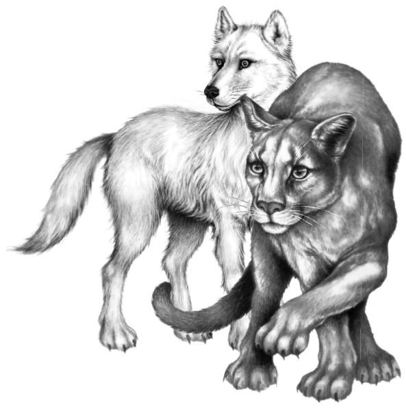 Иллюстрация к книге — Караг и волчье испытание [i_036.jpg]