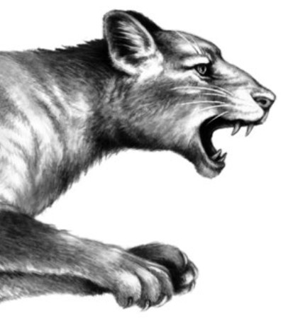 Иллюстрация к книге — Секрет сфинкса [i_001.jpg]