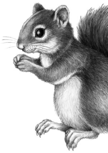 Иллюстрация к книге — Секрет сфинкса [i_003.jpg]