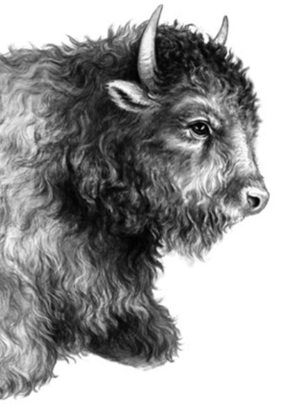 Иллюстрация к книге — Секрет сфинкса [i_004.jpg]