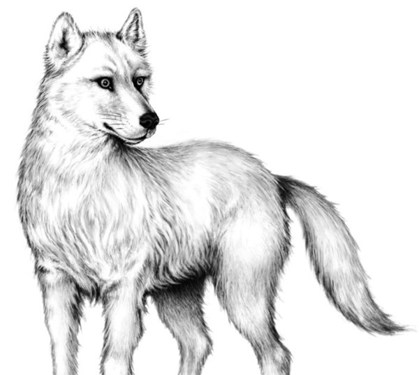 Иллюстрация к книге — Секрет сфинкса [i_007.jpg]