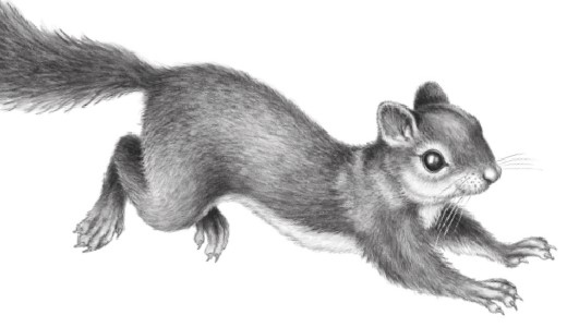 Иллюстрация к книге — Секрет сфинкса [i_011.jpg]